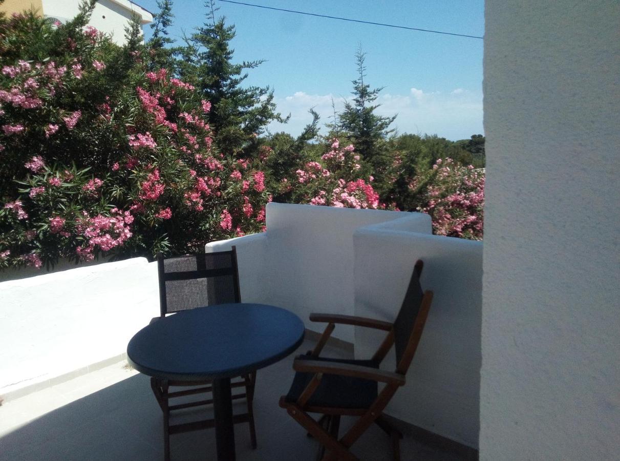 Apartments&rooms Camelia Premantura Buitenkant foto